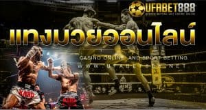 แทงมวย UFC