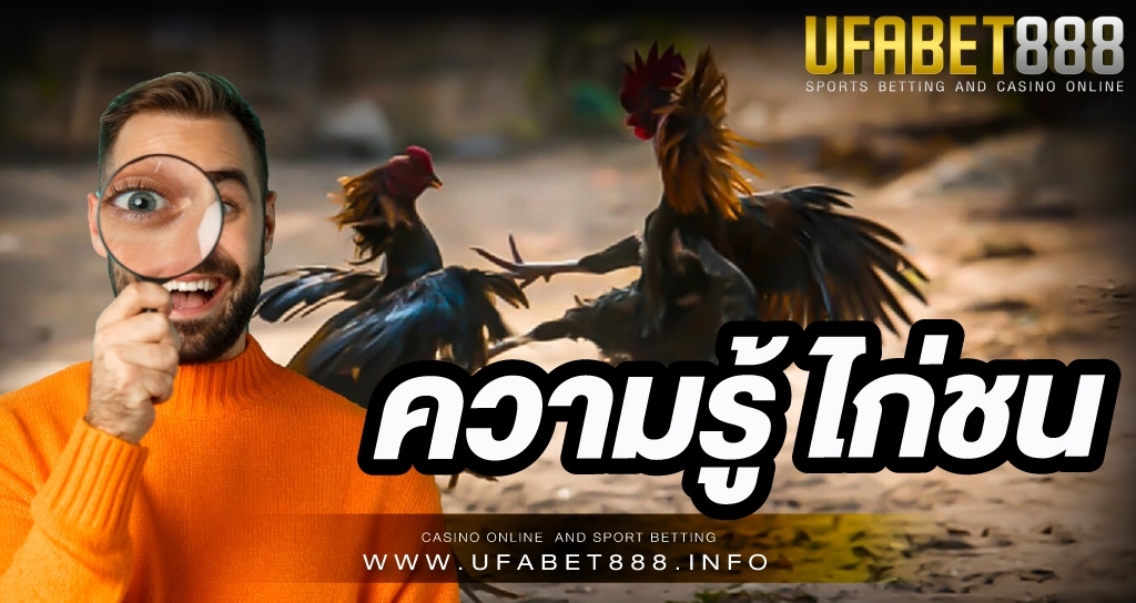 ความรู้ ไก่ชน